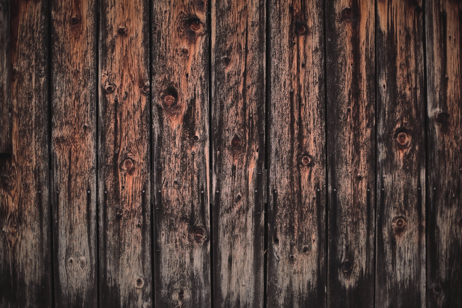 brown wooden fence during daytime
