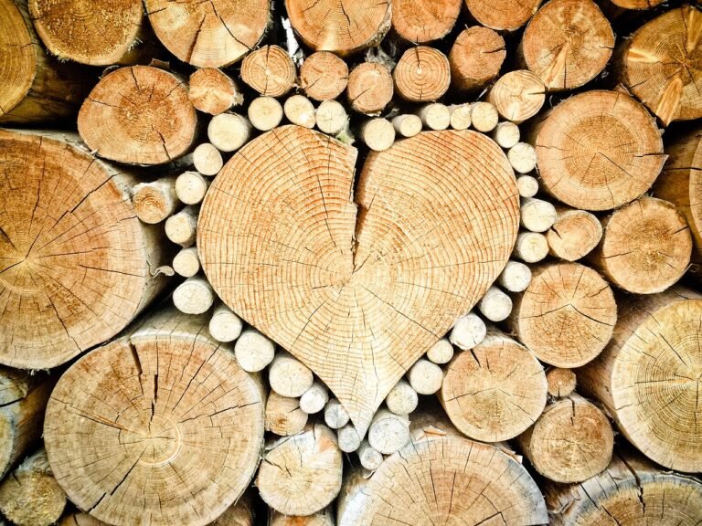 Understanding Natural Wood Decay and Its Impact on Durability - Learn ...